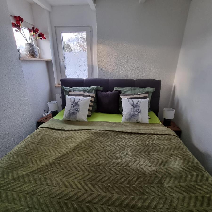 Exklusive Ferienwohnung Hattorfer Teiche Wolfsburg Eksteriør billede