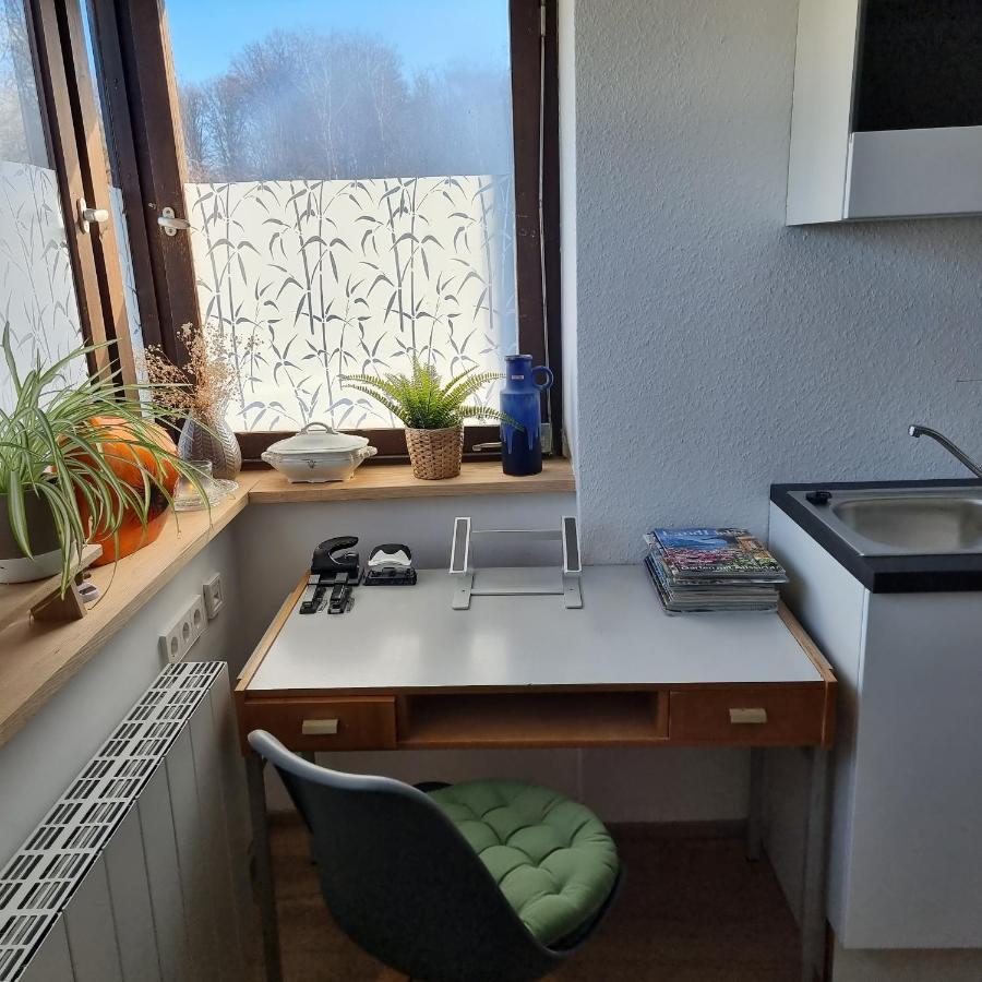 Exklusive Ferienwohnung Hattorfer Teiche Wolfsburg Eksteriør billede