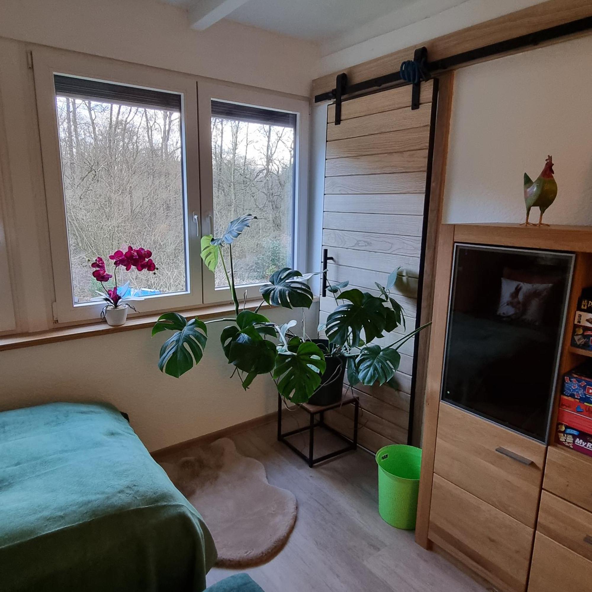 Exklusive Ferienwohnung Hattorfer Teiche Wolfsburg Værelse billede